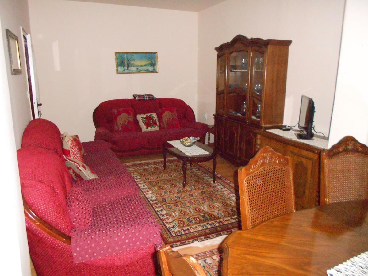 Apartman "Dom Stankovica" Пирот Экстерьер фото