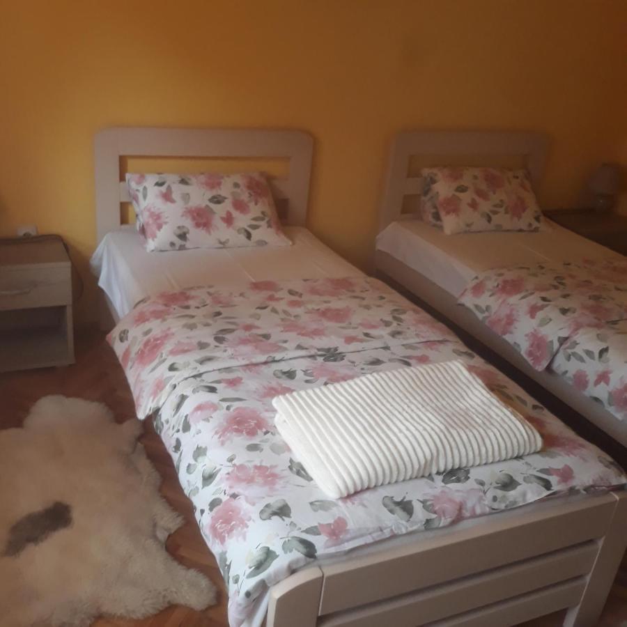 Apartman "Dom Stankovica" Пирот Экстерьер фото