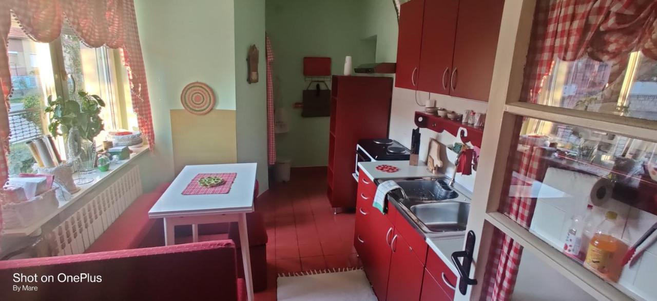 Apartman "Dom Stankovica" Пирот Экстерьер фото