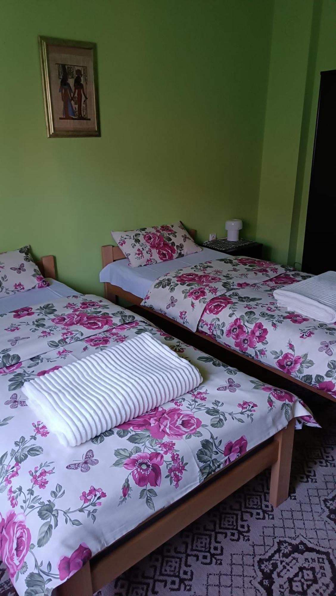 Apartman "Dom Stankovica" Пирот Экстерьер фото